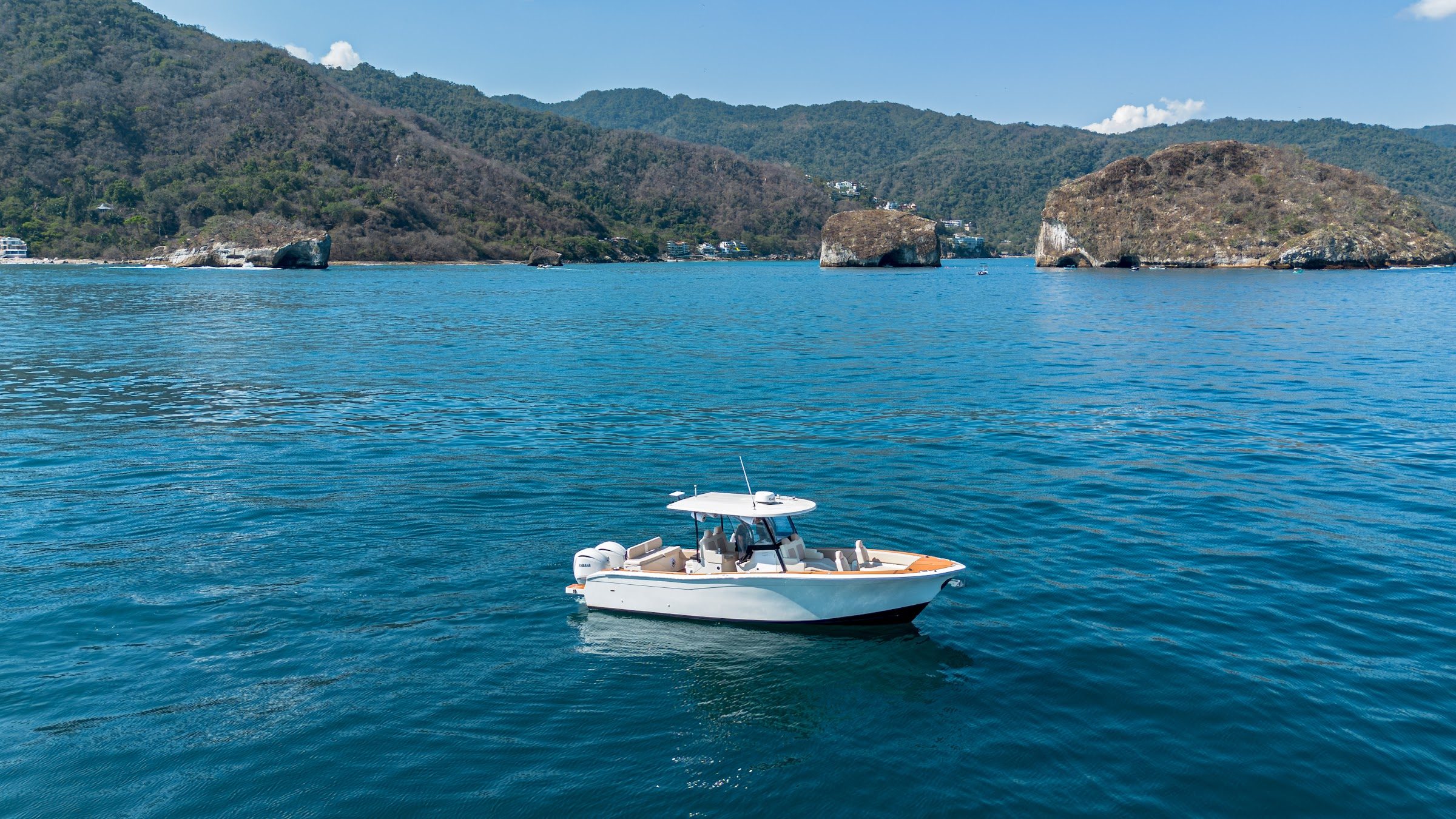 Large panga